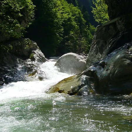 بيت ضيافة Kammleitn هيرماجور