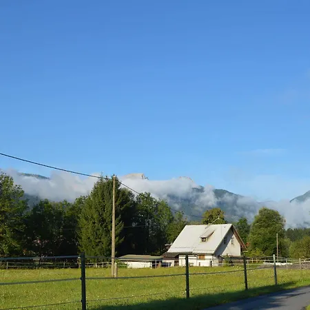 Kammleitn هيرماجور